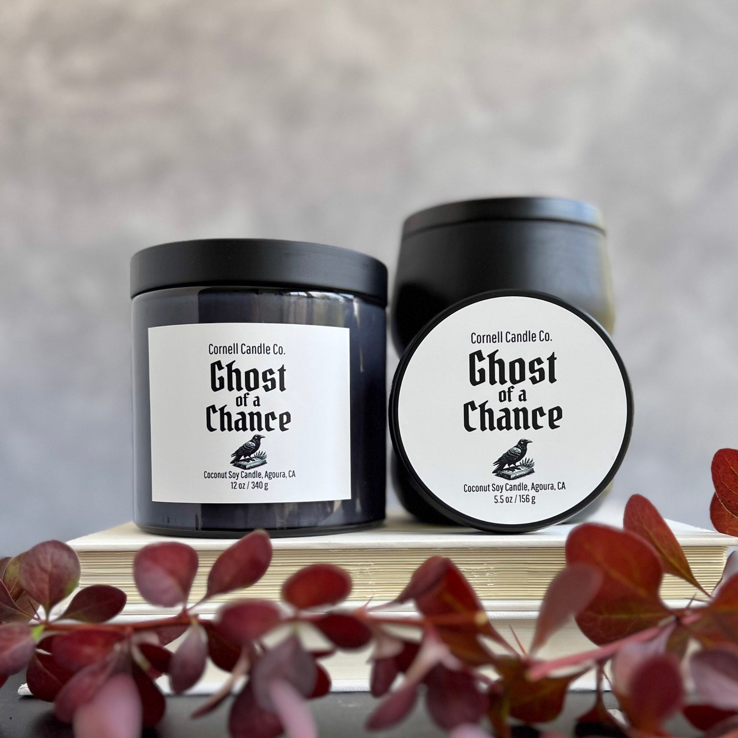 Ghost of a Chance Candle ~ Oud + Incense - LIMITED RELEASE