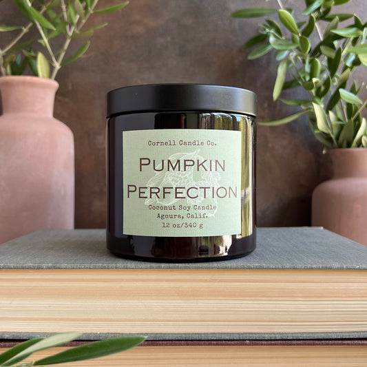 Pumpkin Perfection Candle ~ Cardamom + Pumpkin + Sugar