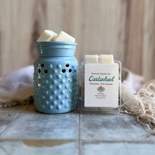 Cartwheel ~ a Watermelon + Pink Lemonade Wax Melt