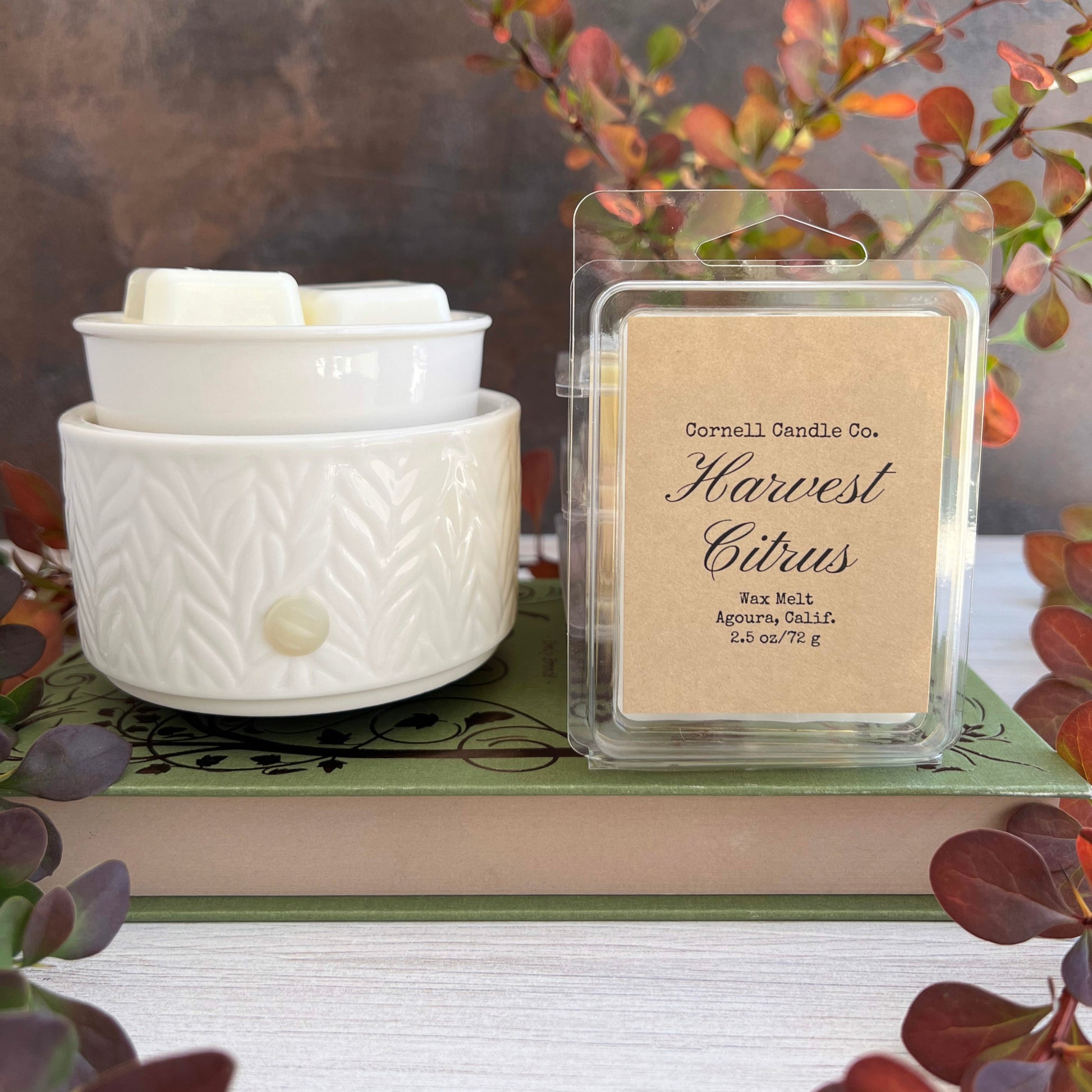 Harvest Citrus Wax Melt ~ Citrus + Currant + Clove