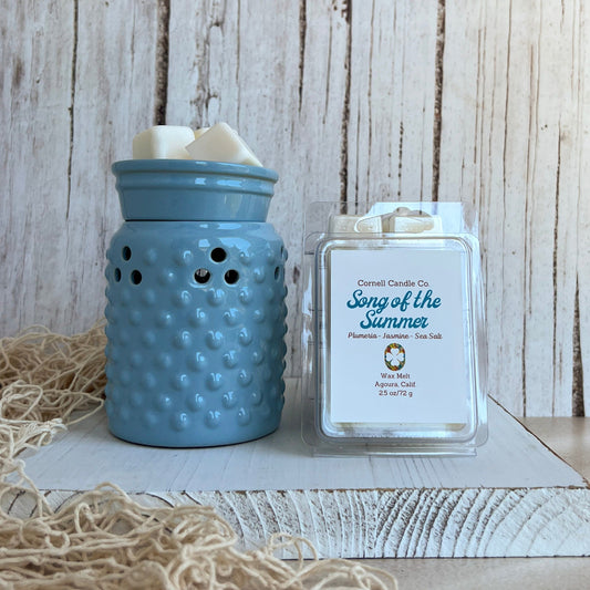Song of the Summer 2026 Wax Melt ~ Plumeria + Jasmine + Sea Salt