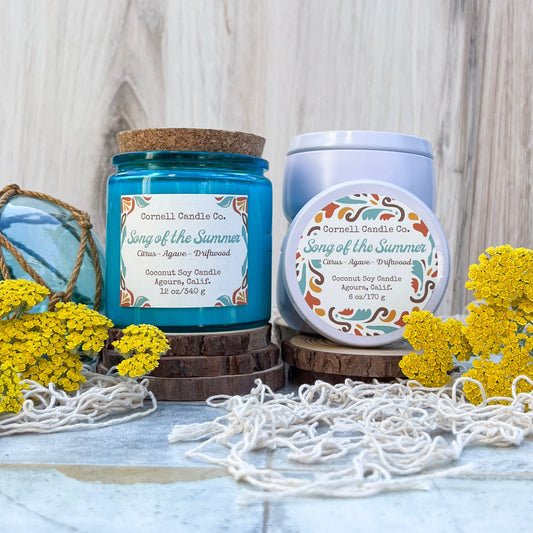 Song of the Summer 2025 ~ a Citrus + Agave + Driftwood Candle