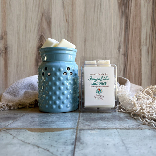 Song of the Summer 2025 ~ a Citrus + Agave + Driftwood Wax Melt