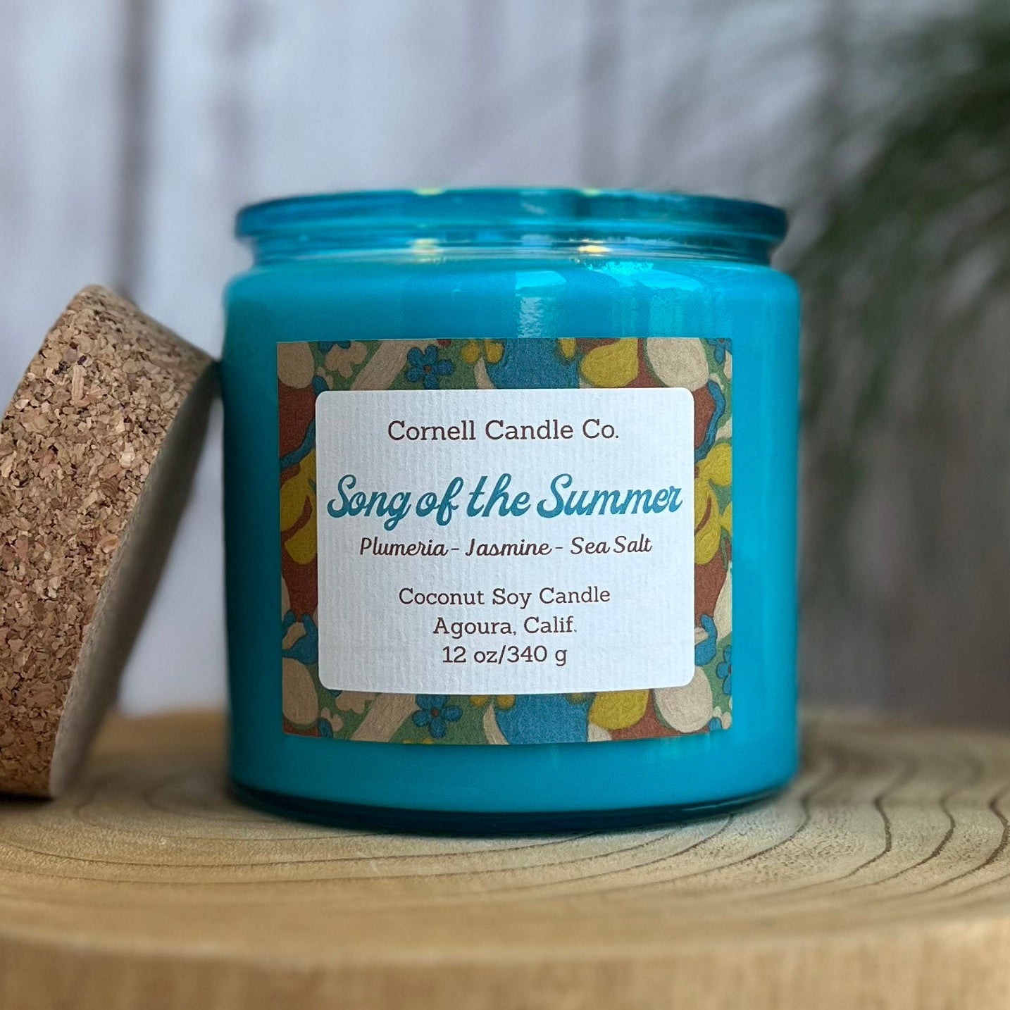 Song of the Summer 2026 Candle ~ Plumeria + Jasmine + Sea Salt
