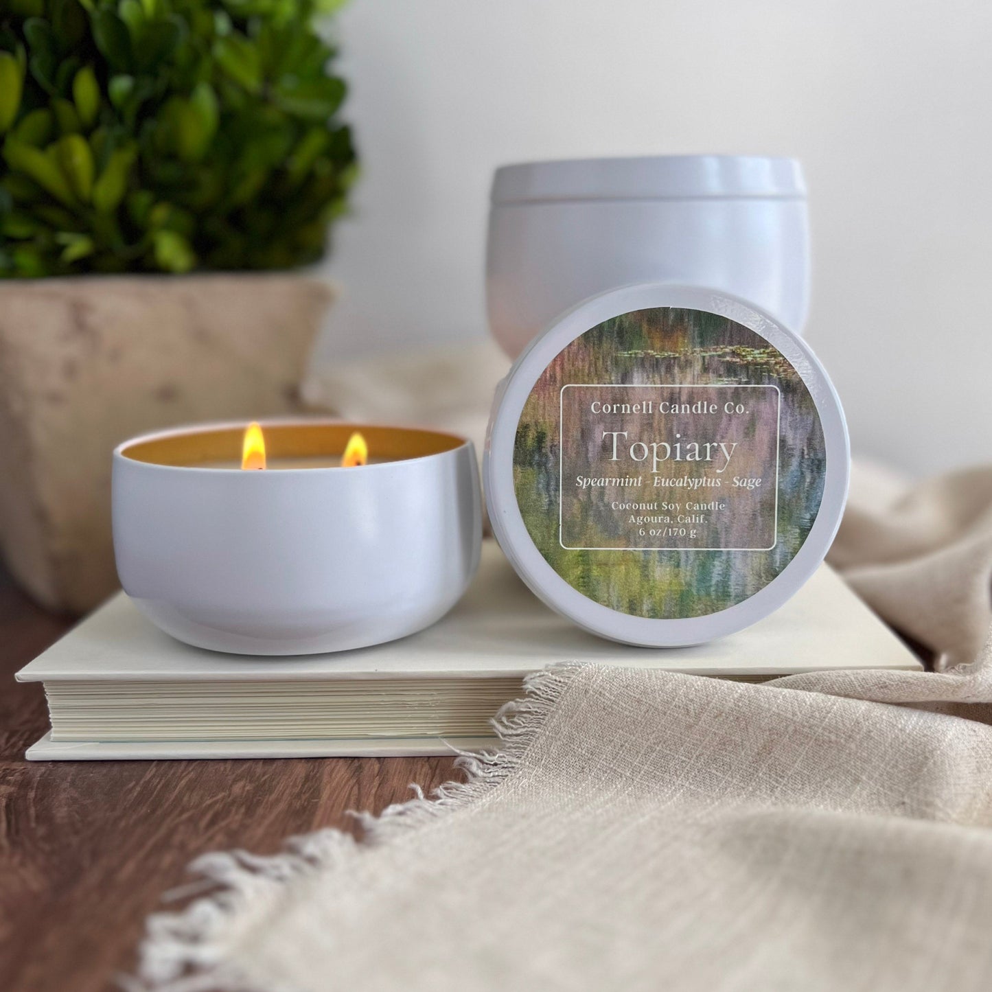 Topiary Candle ~ Spearmint + Eucalyptus + Sage