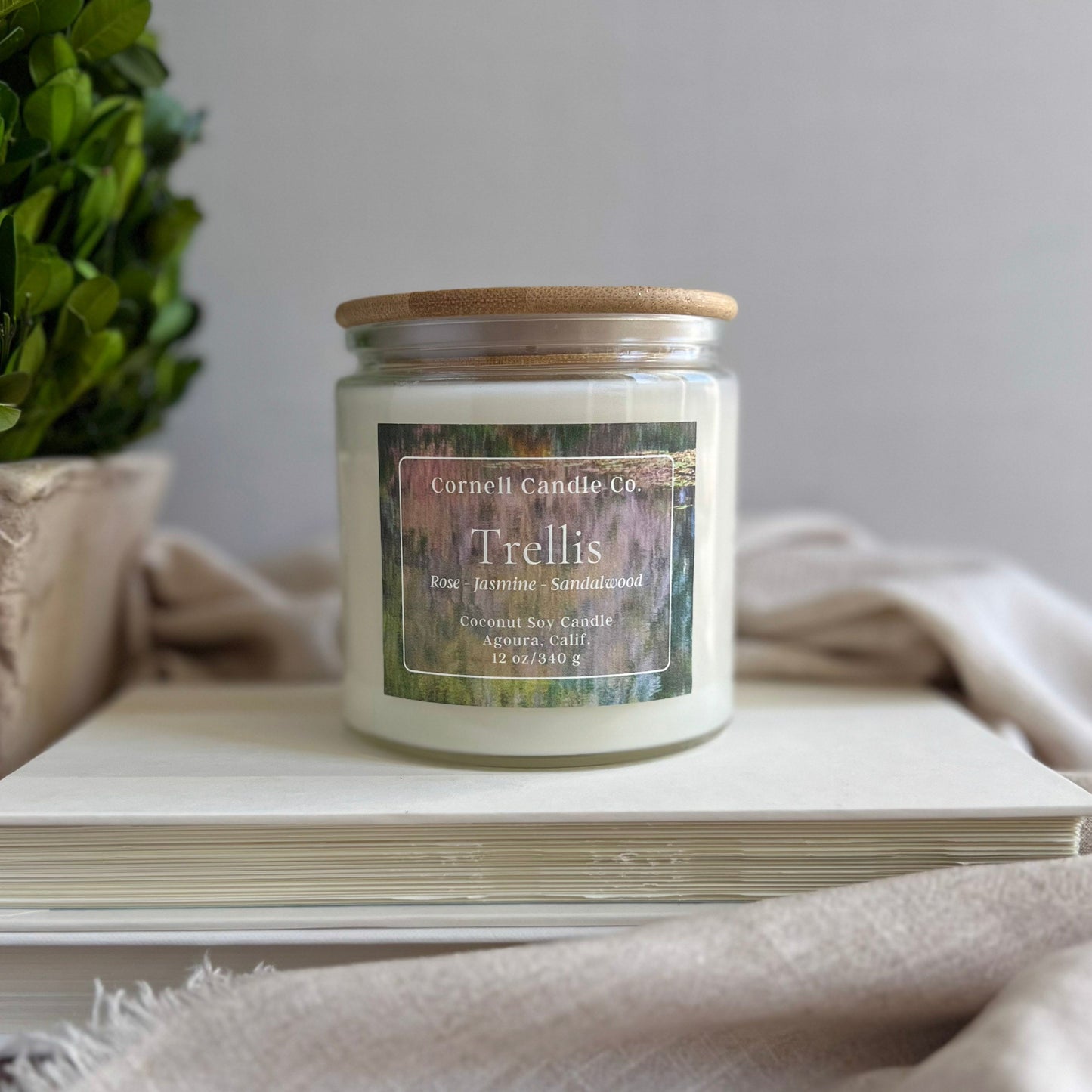 Trellis Candle ~ Rose + Jasmine + Sandalwood