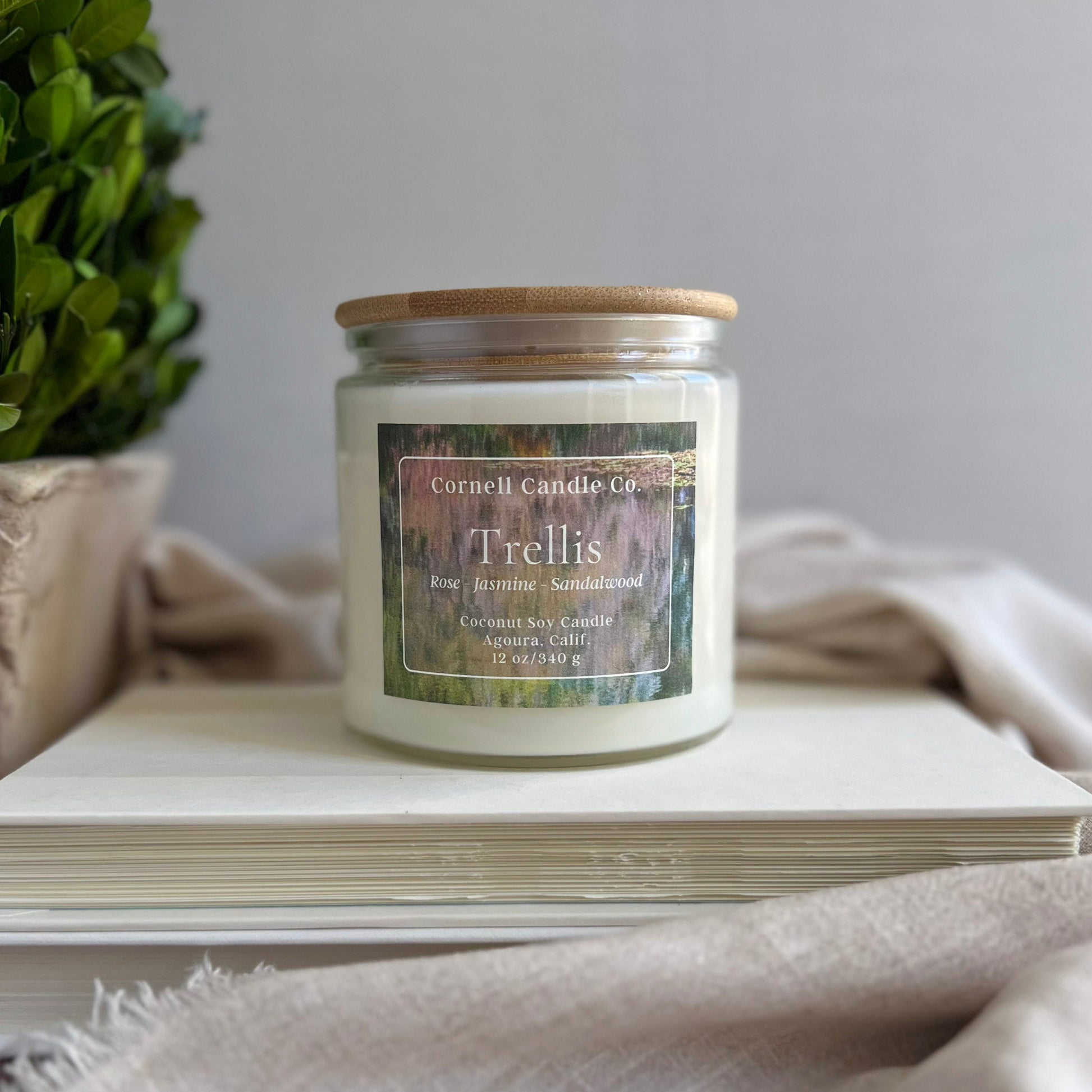 Trellis Candle ~ Rose + Jasmine + Sandalwood