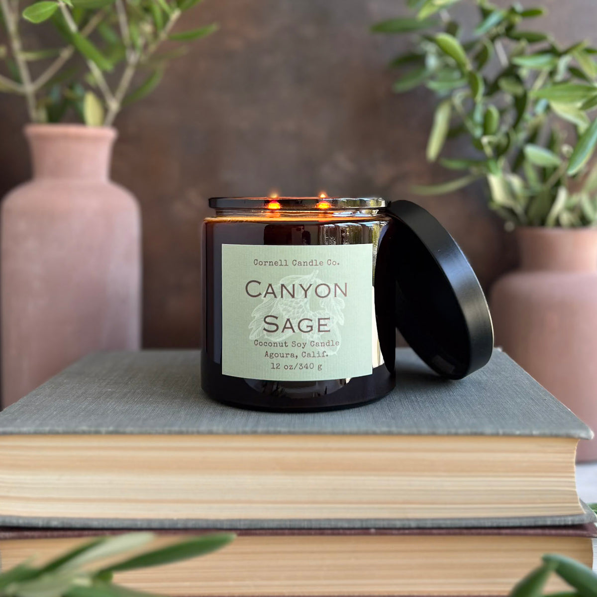 Canyon Sage Candle ~ Sage + Moss + Balsam