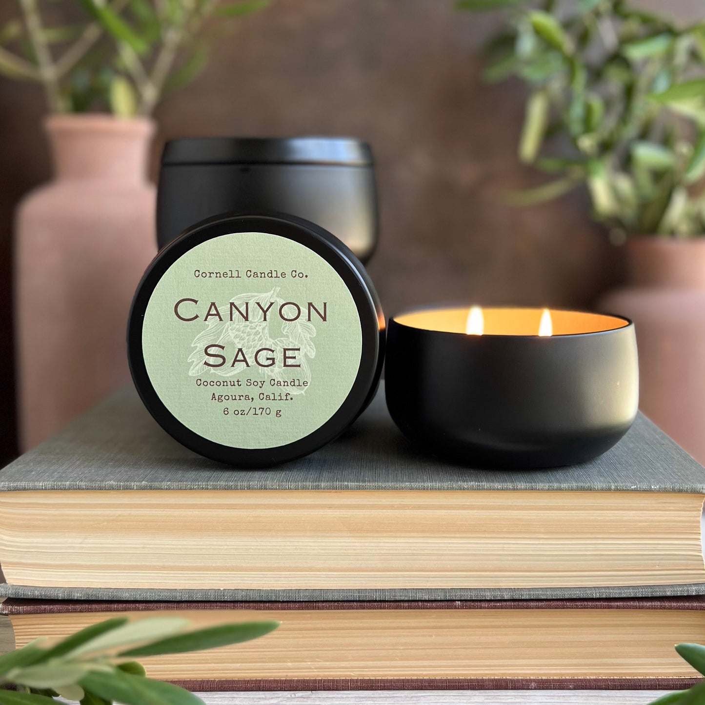 Canyon Sage Candle ~ Sage + Moss + Balsam