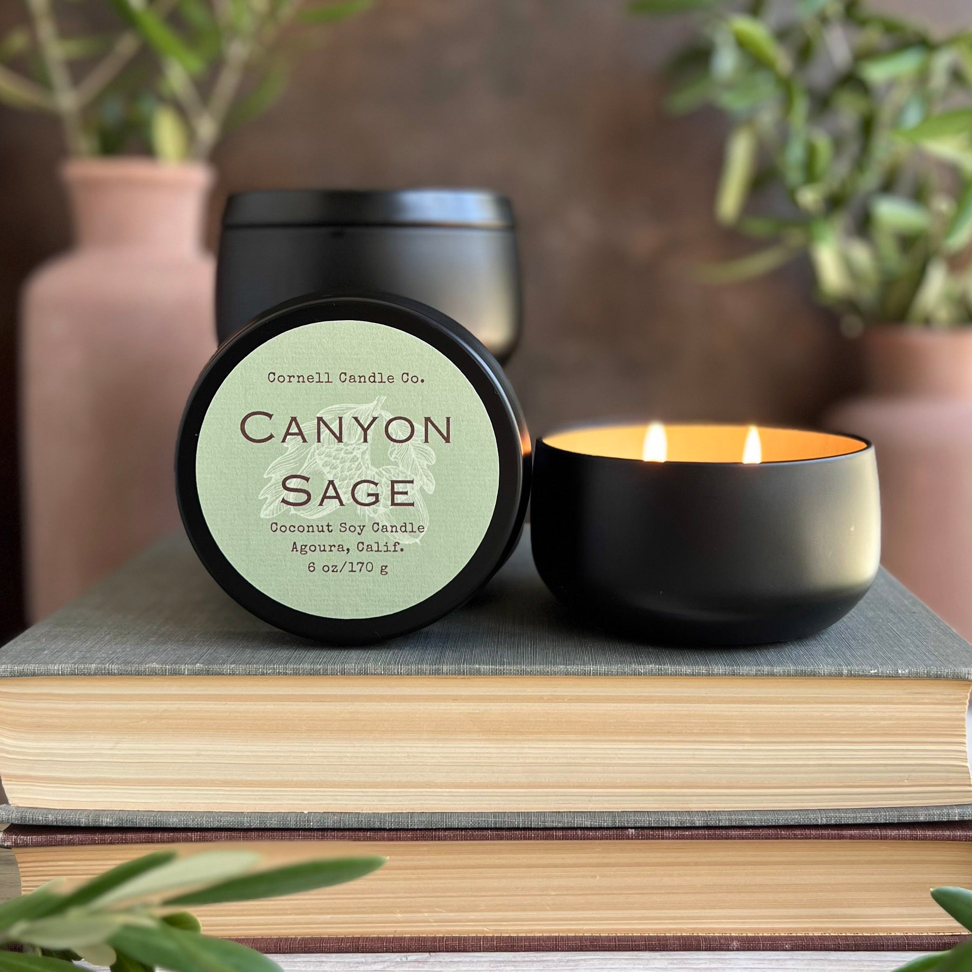 Canyon Sage Candle ~ Sage + Moss + Balsam