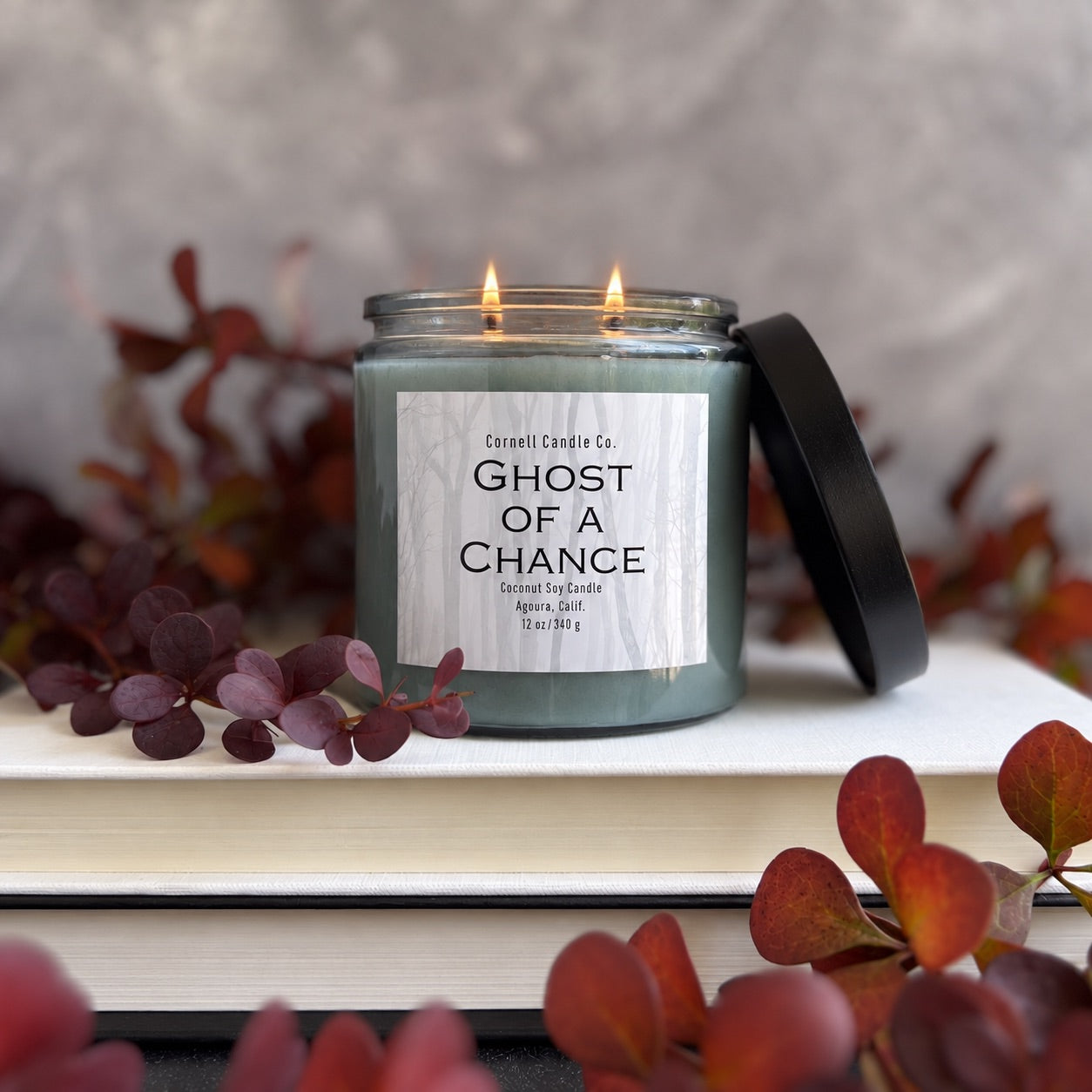 Ghost of a Chance Candle | Incense + Smoke + Amber