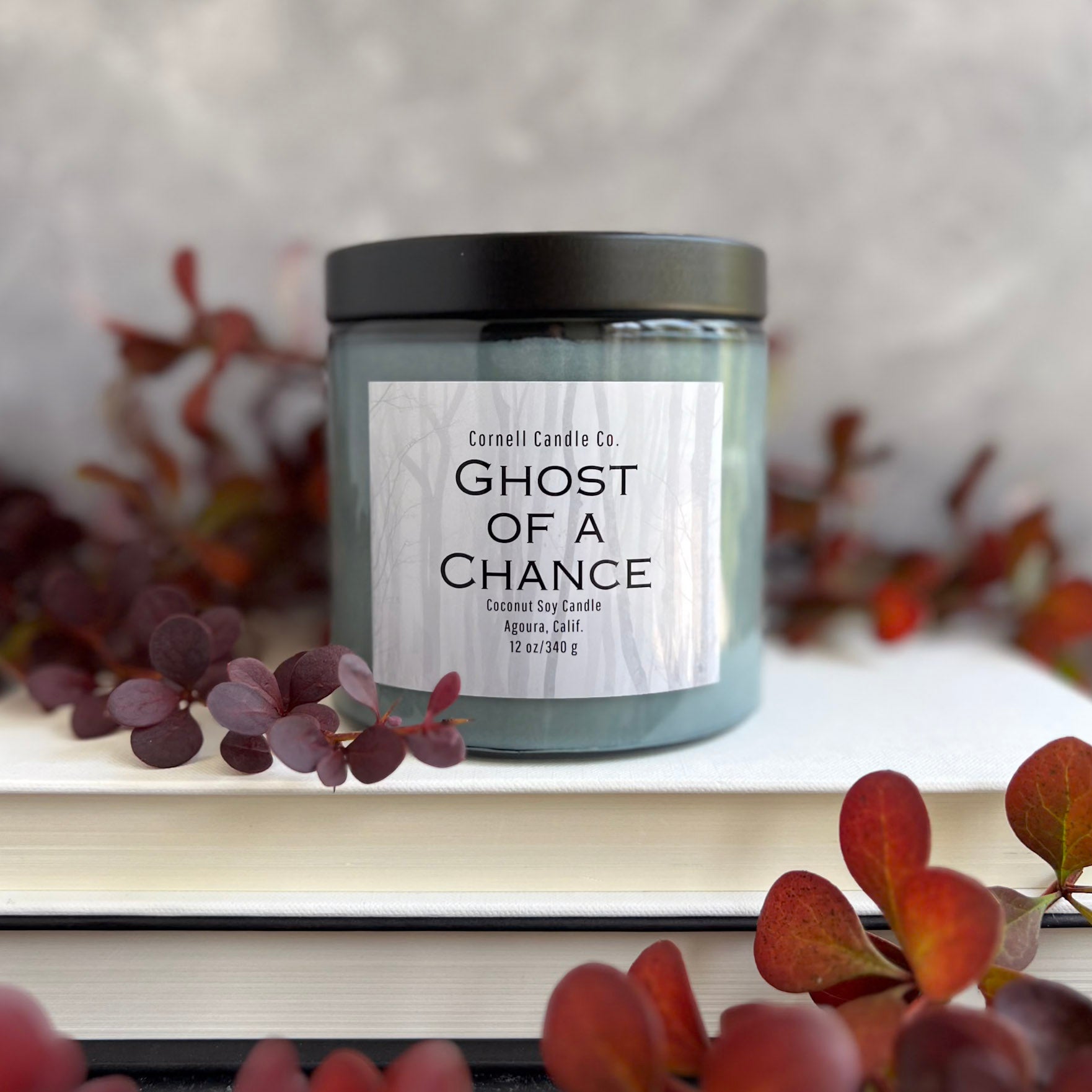 Ghost of a Chance Candle ~ Incense + Smoke + Amber