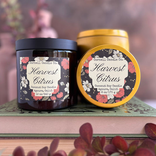 Harvest Citrus Candle ~ Citrus + Currant + Clove