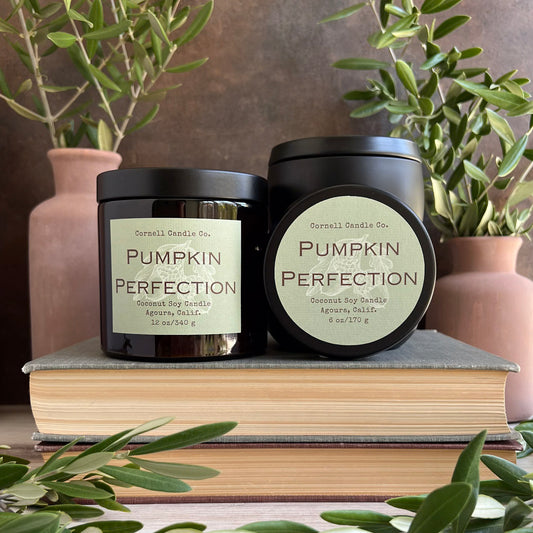 Pumpkin Perfection Candle ~ Cardamom + Pumpkin + Sugar