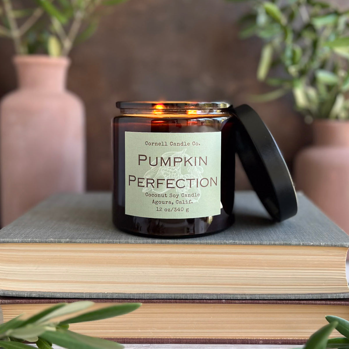 Pumpkin Perfection Candle ~ Cardamom + Pumpkin + Sugar