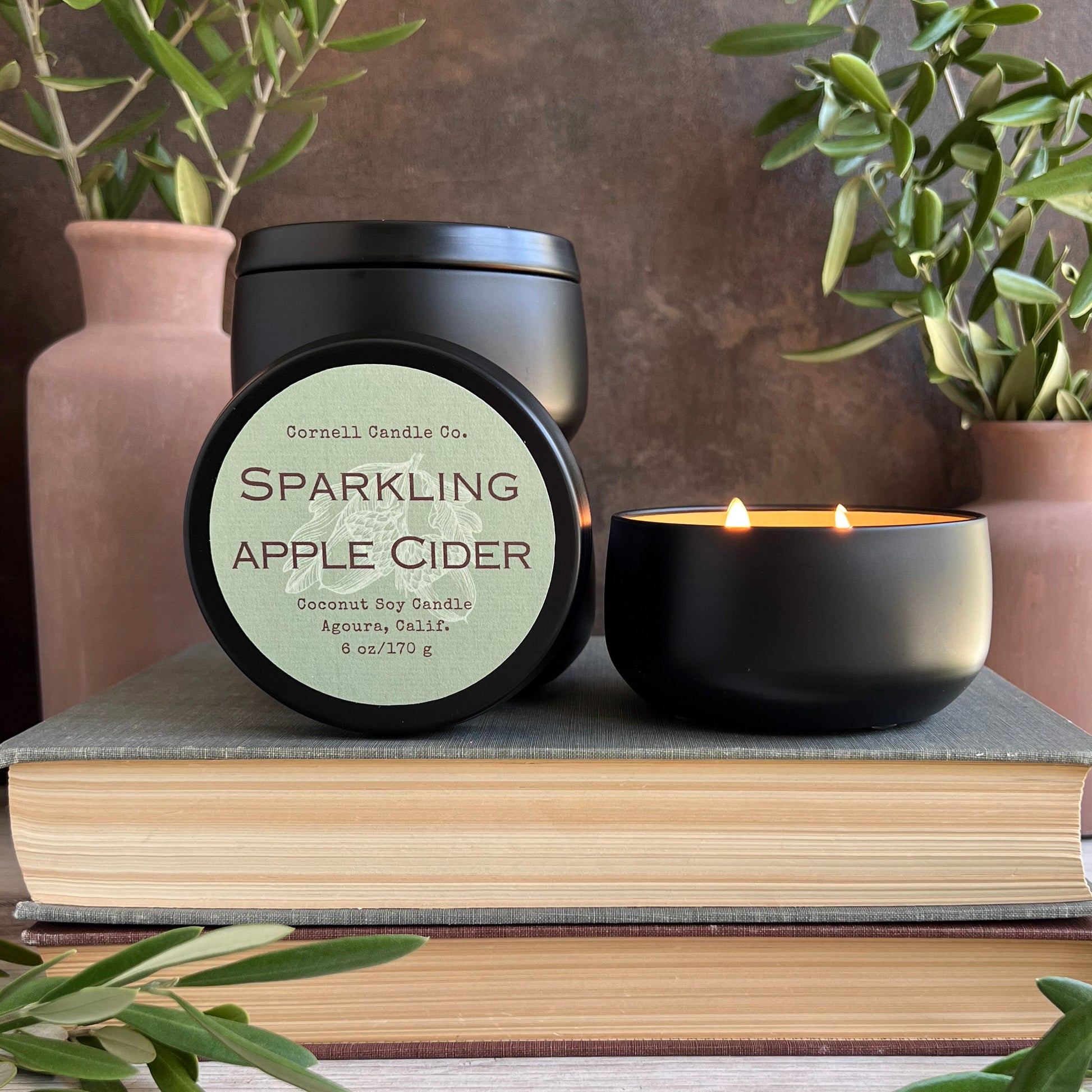 Sparkling Apple Cider Candle ~ Apple + Ginger