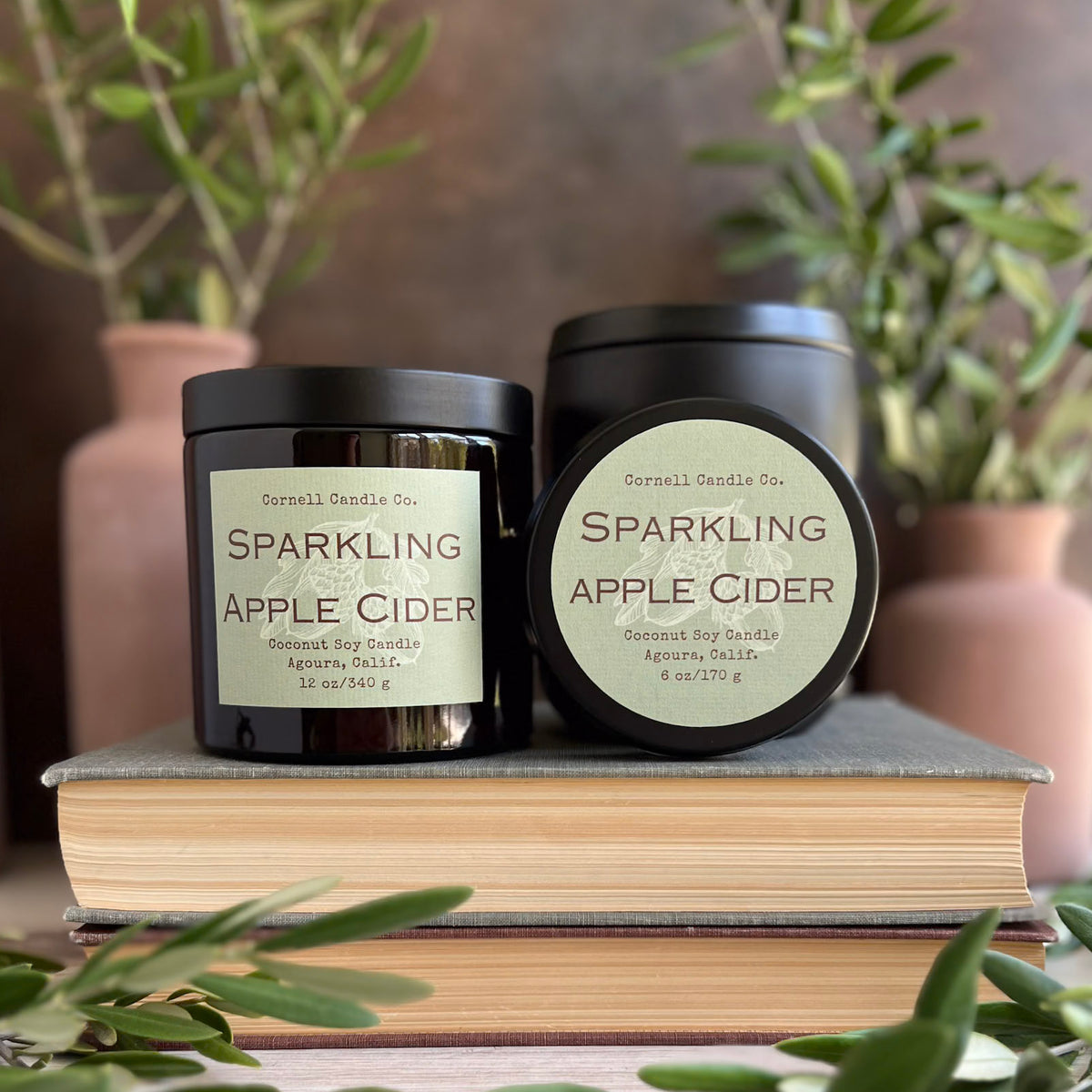 Sparkling Apple Cider Candle ~ Apple + Ginger
