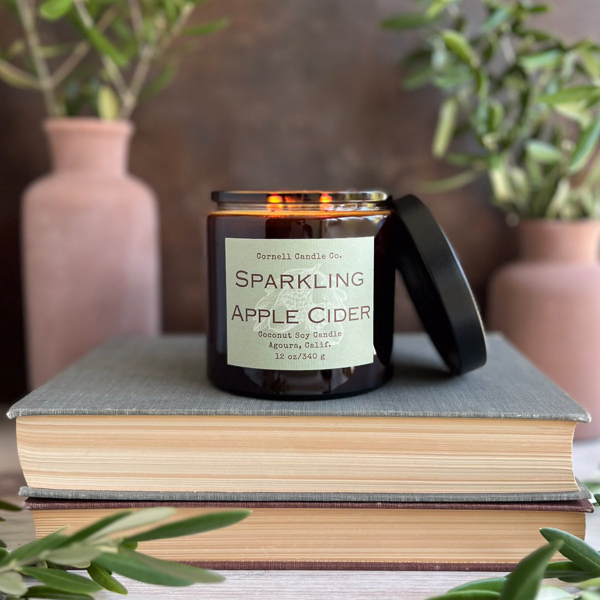 Sparkling Apple Cider Candle ~ Apple + Ginger