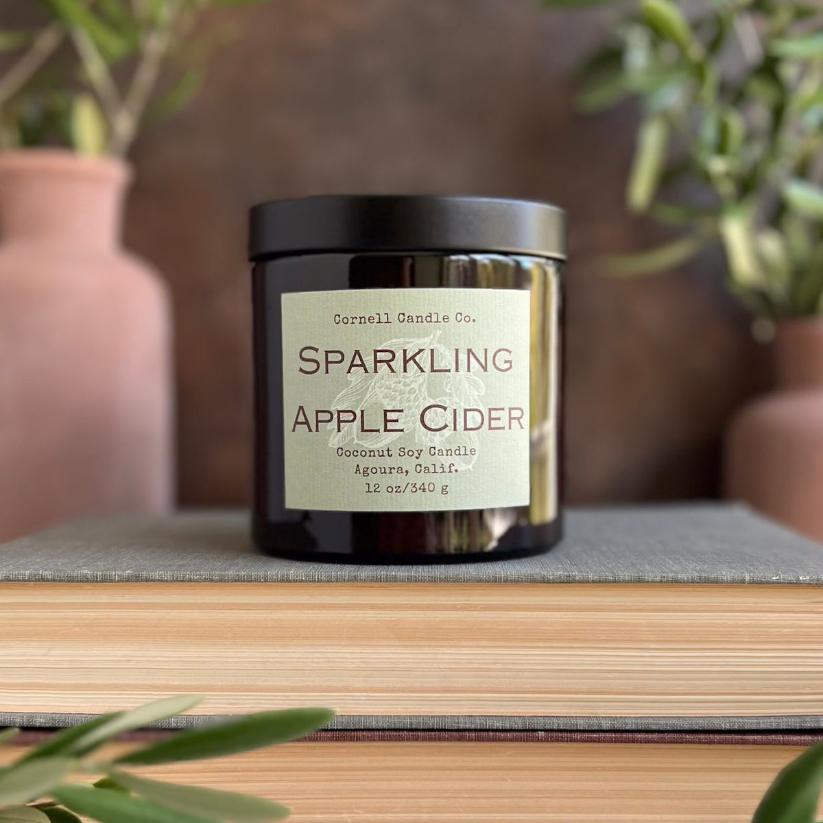 Sparkling Apple Cider Candle ~ Apple + Ginger