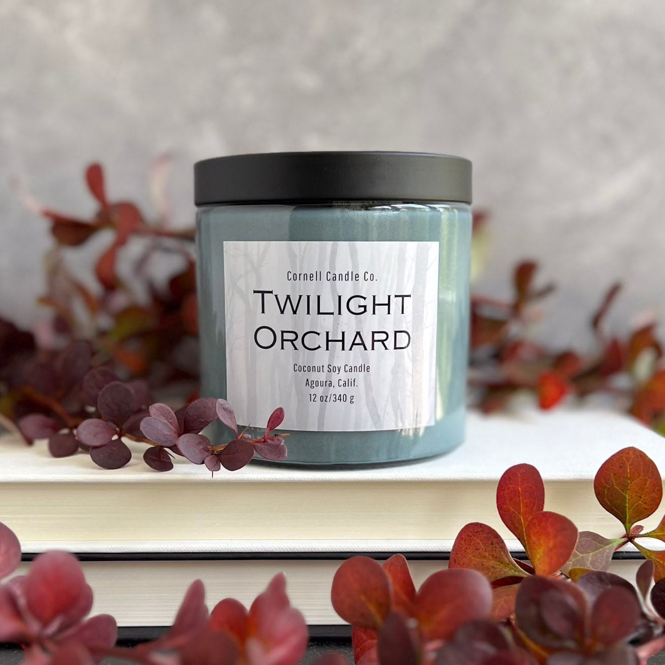 Twilight Orchard Candle ~ Plum + Cinnamon + Cedarwood