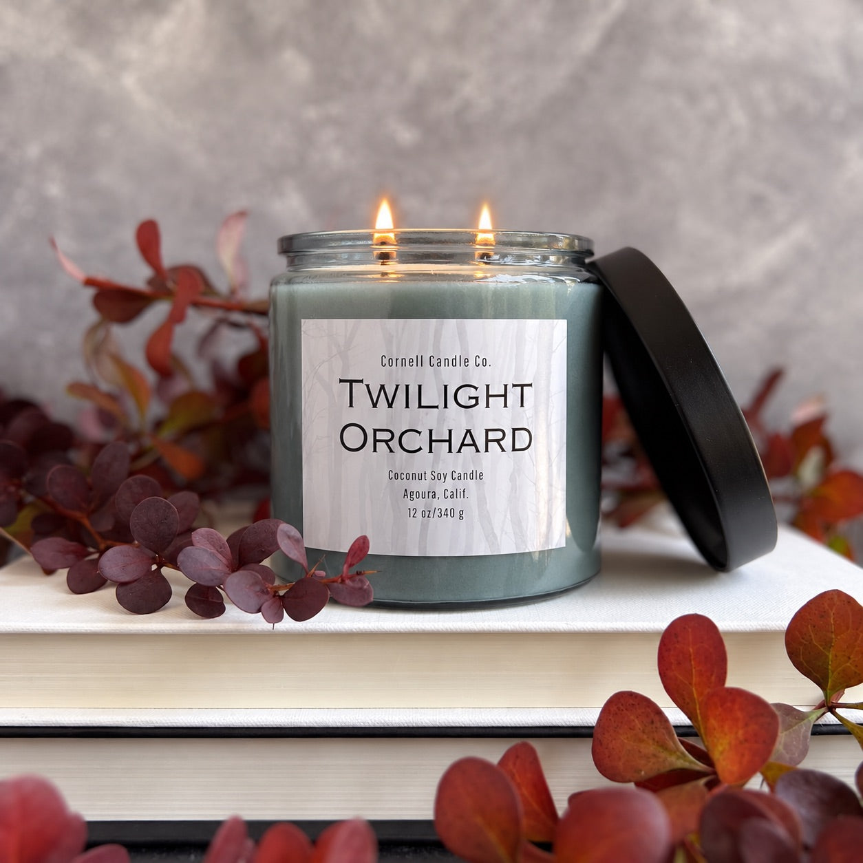Twilight Orchard Candle ~ Plum + Cinnamon + Cedarwood