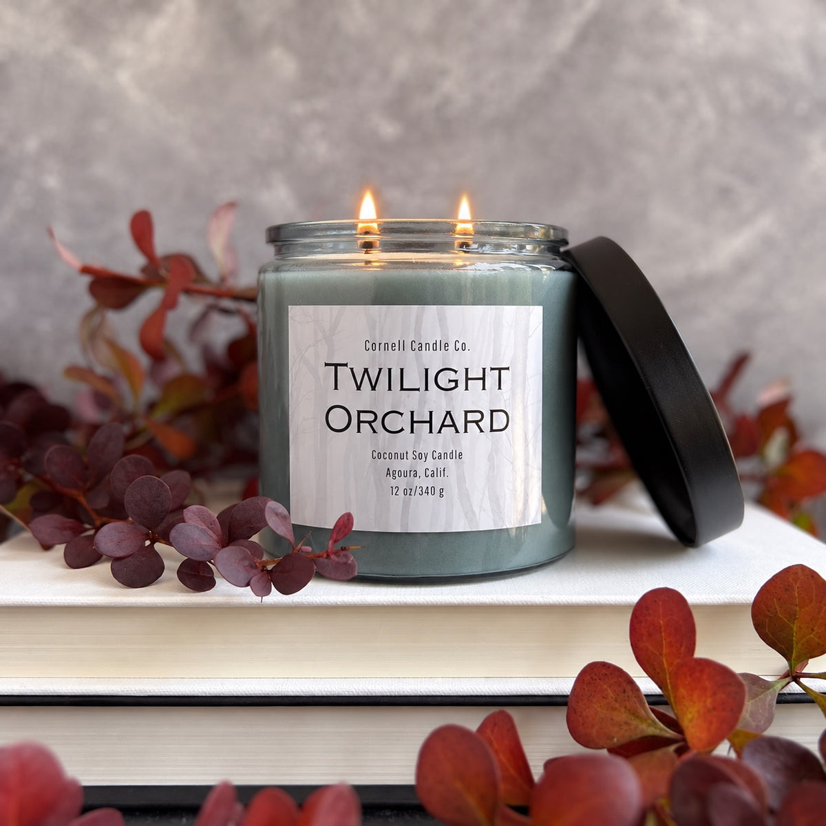 Twilight Orchard Candle ~ Plum + Cinnamon + Cedarwood